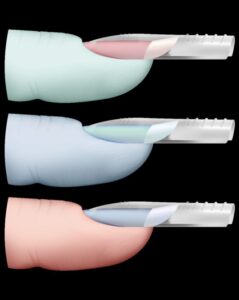 Scopri di più sull'articolo All About Dual Form